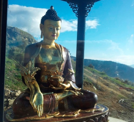Buda de La Medicina