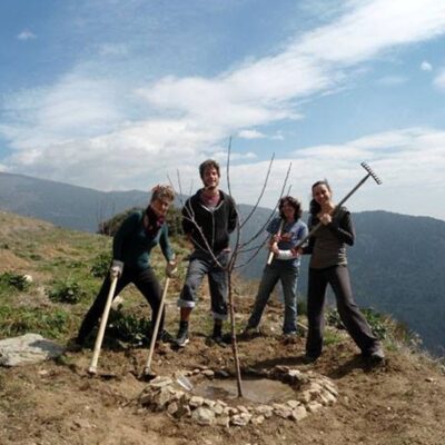 small_voluntarios