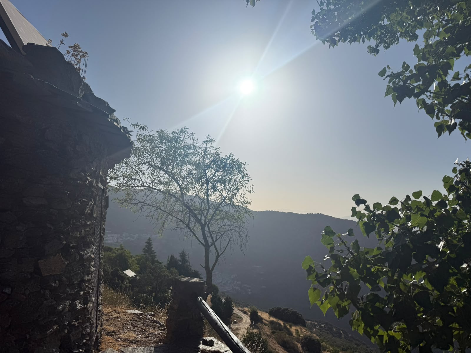 nagarjuna